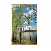 Пленочный обогреватель домашний очаг березка